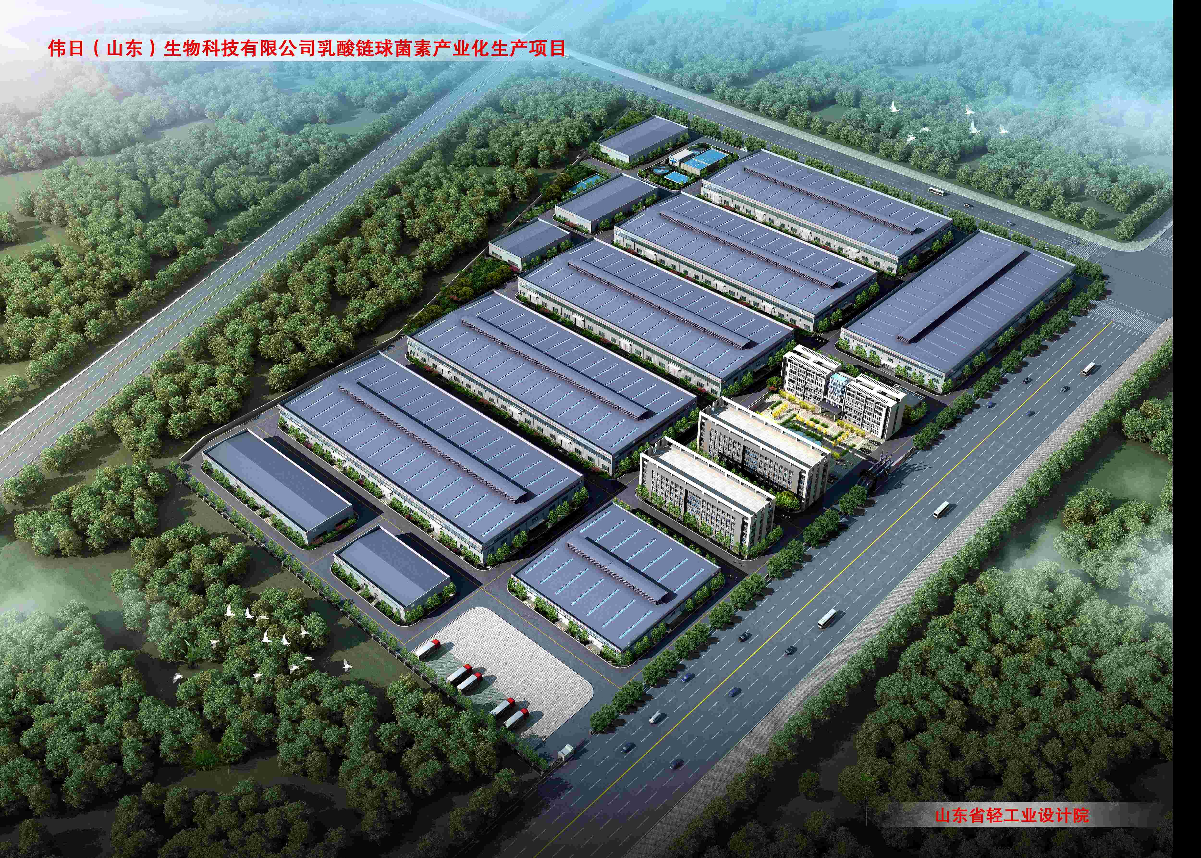 偉日（山東）生物科技乳酸鏈球菌素產(chǎn)業(yè)化項(xiàng)目