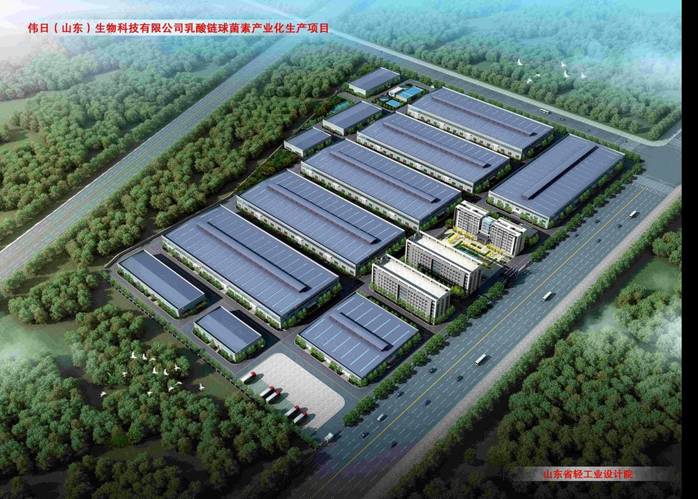 14058S偉日（山東）生物科技乳酸鏈球菌素產(chǎn)業(yè)化項目(1)
